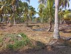 Land for Sale in Diyadora