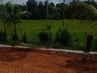 Land for Sale in Diyagama