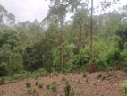 Land for sale in Diyatalawa