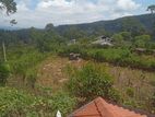 Land for Sale in Diyathalawa, Bandarawela