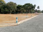 Land for Sale in දඹුල්ල