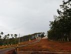 Land For Sale in දන්කොටුව