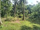 Land for Sale in Dodamgaslanda, Katupilagolla Kurunegala