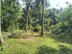 Land for Sale in Dodamgaslanda, Katupilagolla Kurunegala