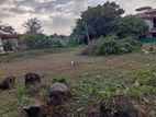 Land for sale in Dodangoda 23.7P
