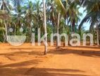 Land for Sale in Dodangoda