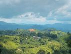 Land for Sale in Doluwa