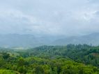 Land for Sale in Doluwa