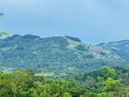 Land for Sale in Doluwa