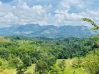 Land for Sale in Doluwa