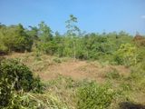 Land For Sale In Doluwa, Gampola