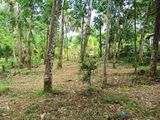 Land for Sale in Dompe