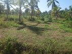 Land for sale in Dummalasooriya