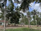 Land for Sale in Dummalasuriya