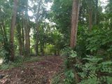 Land for Sale in Dutugemunu Mawatha, Ganemulla