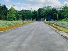 Land for Sale in Eheliyagoda