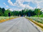 Land for Sale in Eheliyagoda
