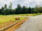 Land for sale in Eheliyagoda