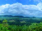 Land for Sale in Eheliyagoda, Ratnapura
