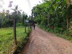 Land for sale in Elapatha