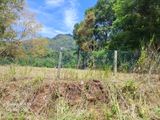 Land For Sale In Ella - CL836