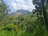 Land For Sale In Ella - CL836
