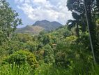 Land For Sale In Ella - CL836