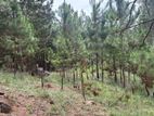 Land for Sale in Ella