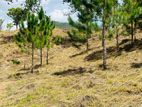 Land for Sale in Ella