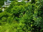 Land for Sale in Ella