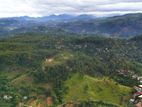 Land for Sale in Ella