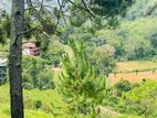 Land for sale in Ella