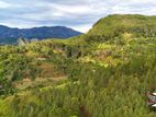 land for sale in ella