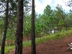 Land for sale in Ella