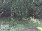 Land for Sale in Ella
