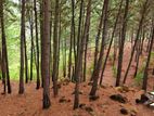 Land for sale in ella