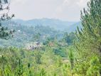 Land for Sale in Ella