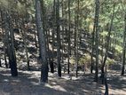 Land for Sale in Ella