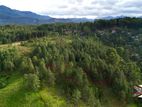 Land for Sale in Ella