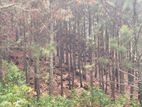 Land for sale in Ella