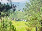 Land for Sale in Ella