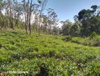 Land for Sale in Ella Kithal