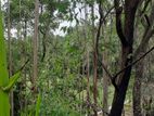 Land for Sale in Ella (Raja Kotuwa Area)