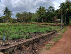 Land for Sale in Ellakkala