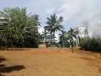 Land for Sale in Elpitiya