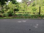 Land for Sale in Elpitiya