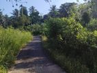 Land For Sale In Elpitiya