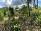 Land for Sale in Elpitiya-Kurundugaha (4×15 Perch Plots)