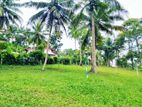 Land for Sale in Embiilipitiya