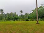 Land for Sale in Embilipitiya
